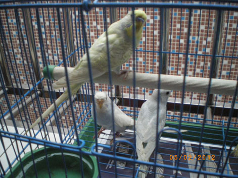 IMGP3978.JPG