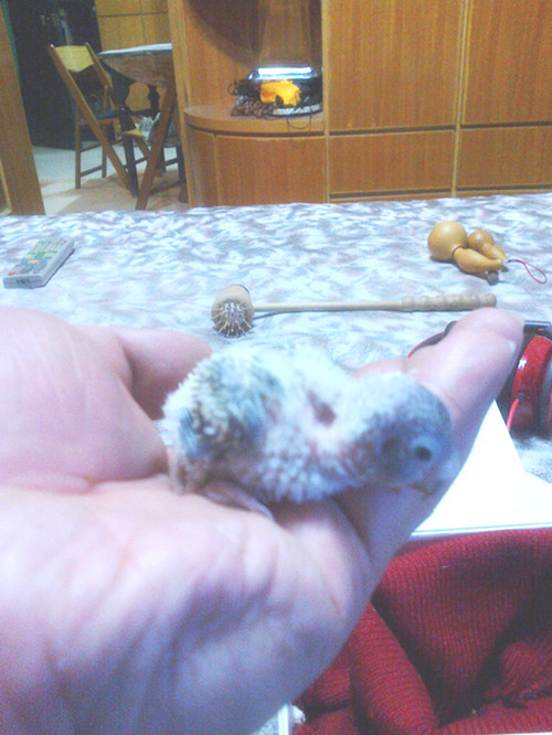 20120212594_副本.jpg
