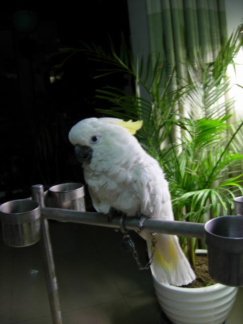 DSCN4625.JPG