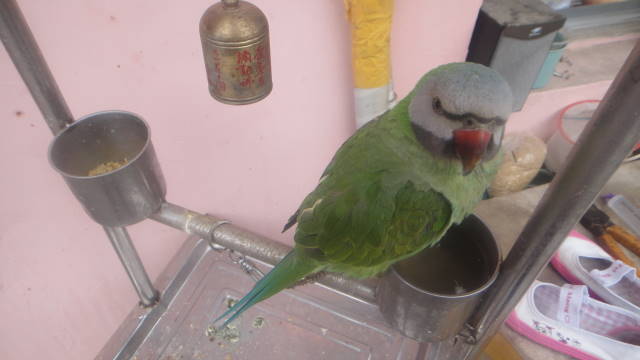 DSC00685.JPG