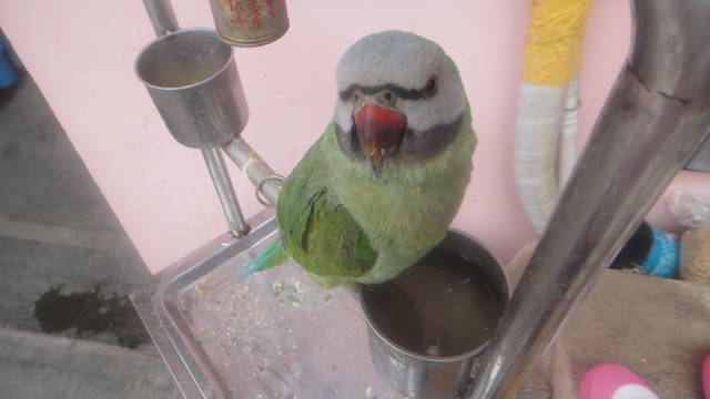 DSC00686.JPG