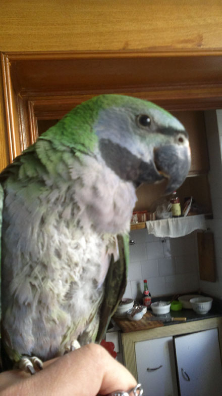 20120205095.jpg