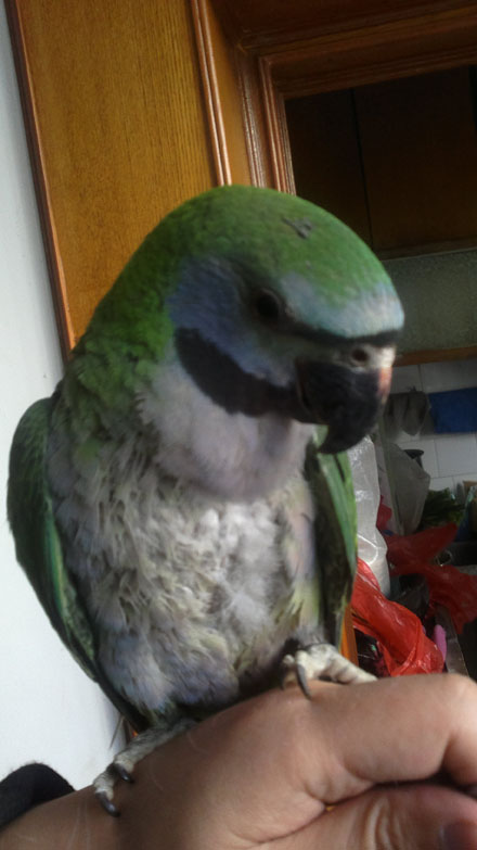 20120205101.jpg