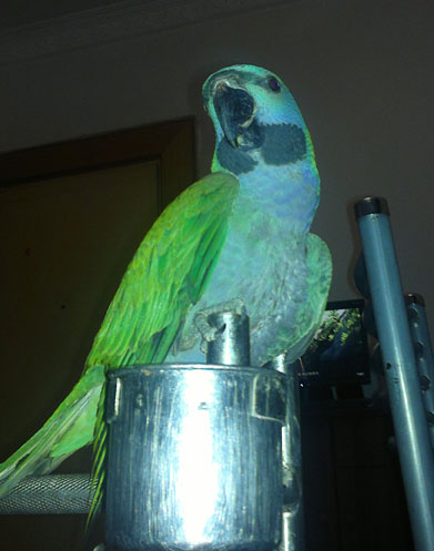 20120204089.jpg