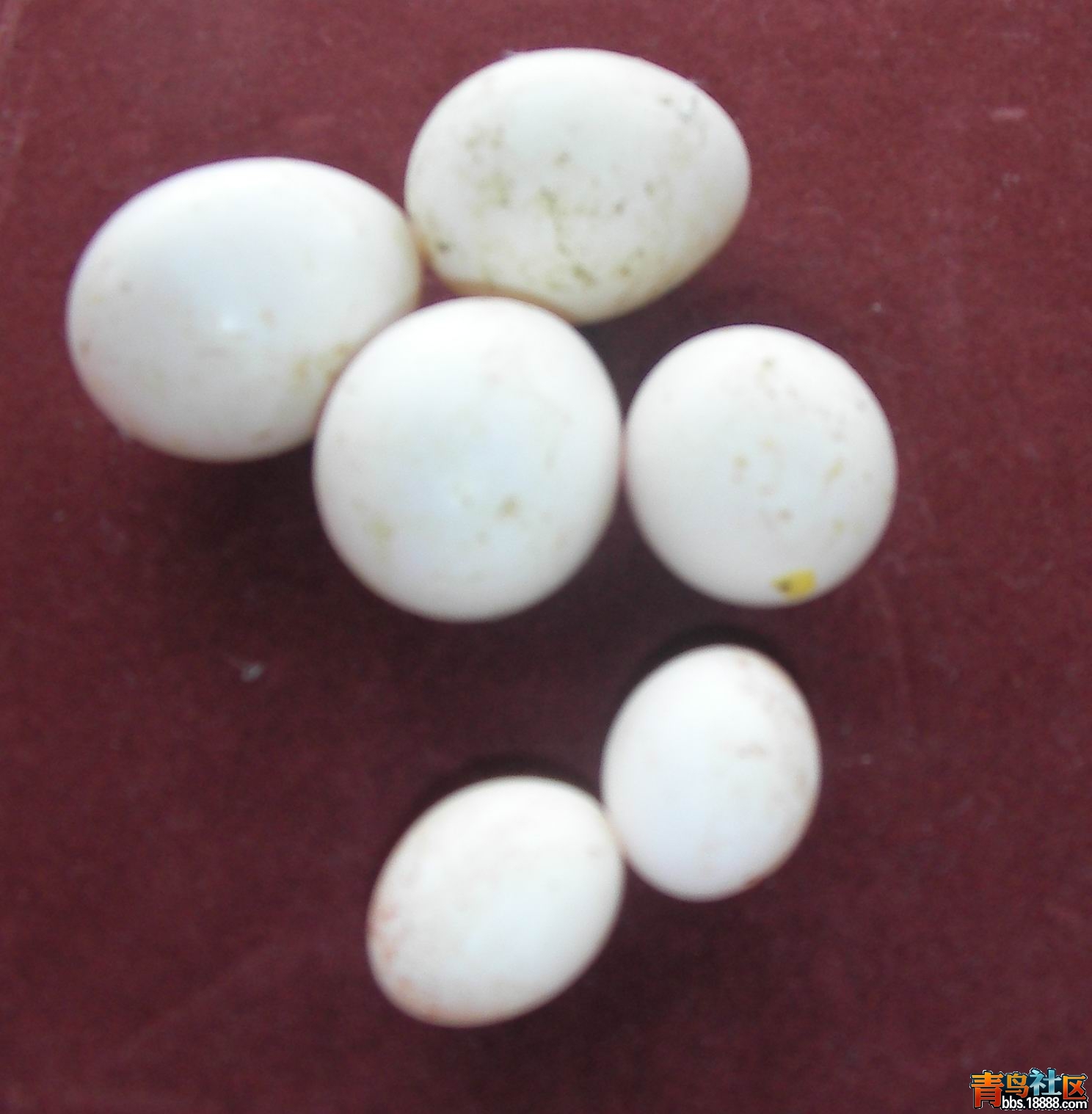 SANY0222.JPG