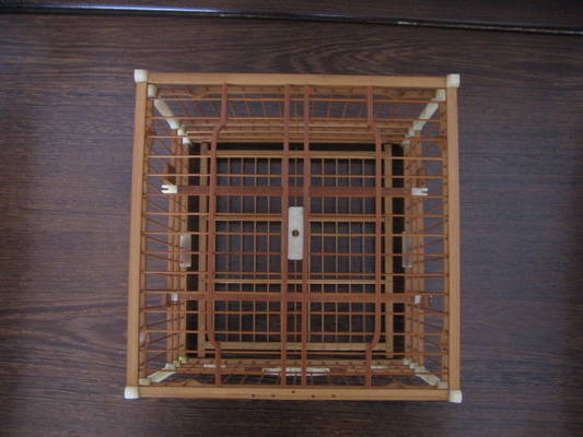 照片 771.jpg