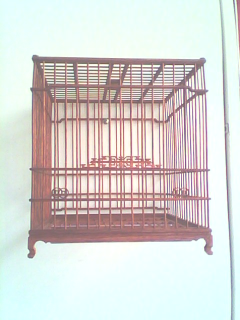 IMG0080A.jpg
