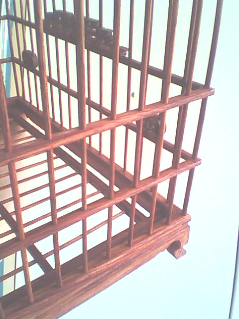 IMG0089A.jpg