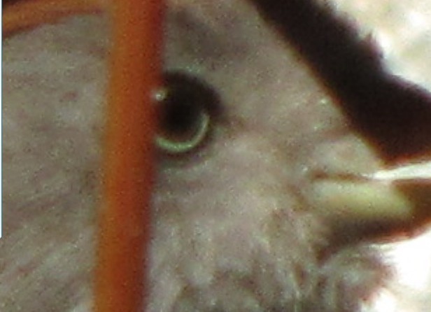 32.jpg