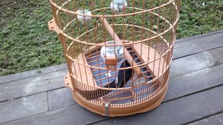 20120201127.jpg