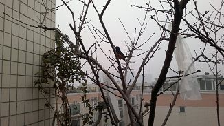 20120201121.jpg
