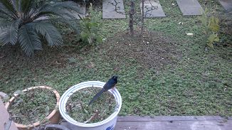 20120201123.jpg