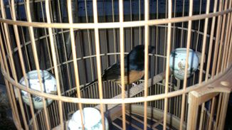 20120131117.jpg