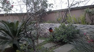 20120201130.jpg