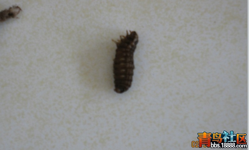 20120205154030.jpg