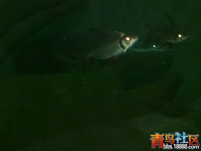 图片105.jpg