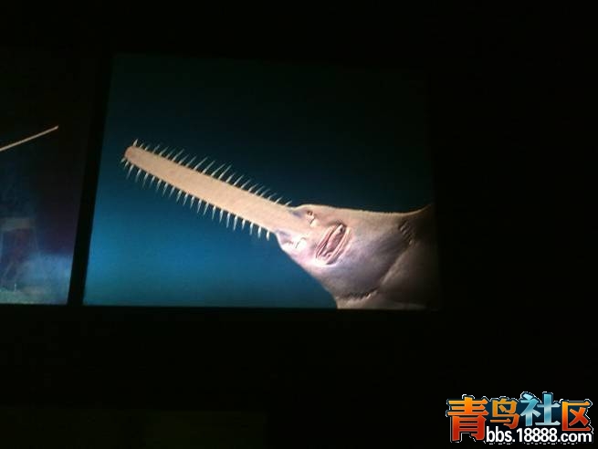 图片90.jpg
