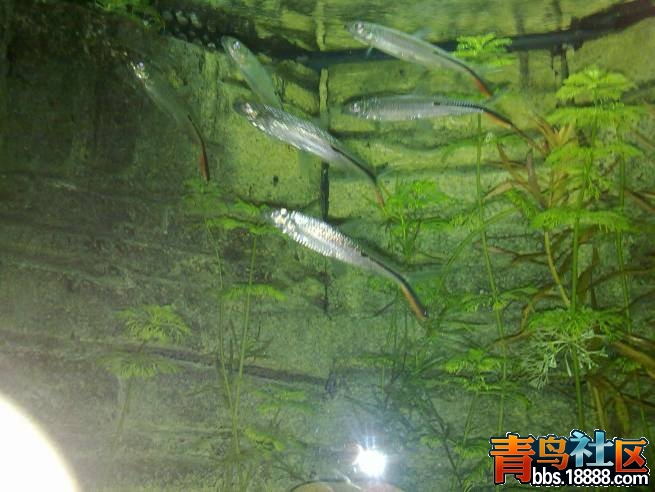 图片111.jpg