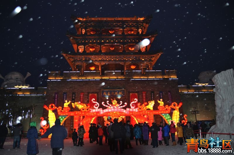 灯会009.jpg