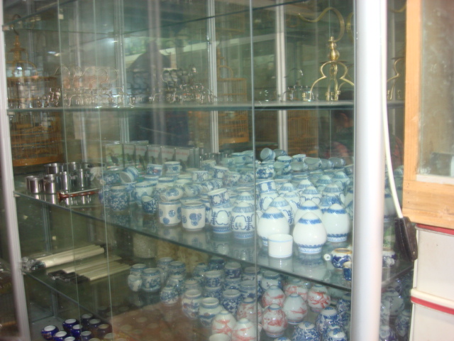 DSC02581.JPG