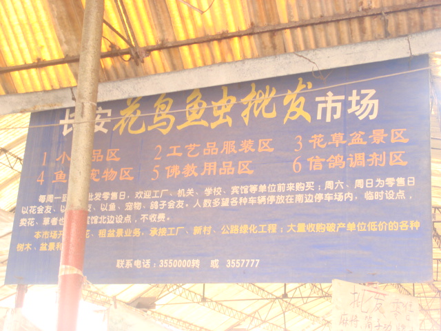 DSC02540.JPG