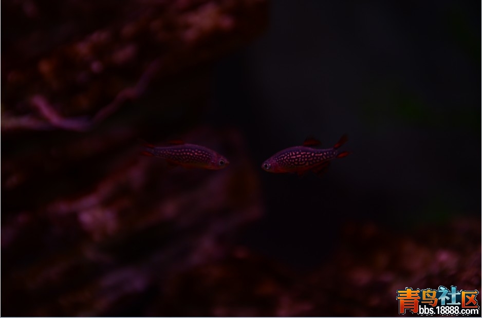 2012020202.jpg