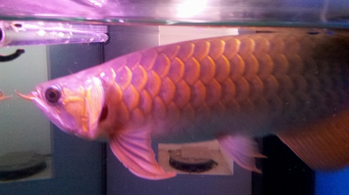 2012-02-15_20-04-45_163.jpg