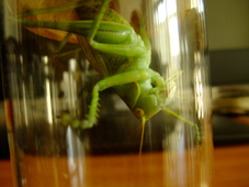 DSCF3533.jpg