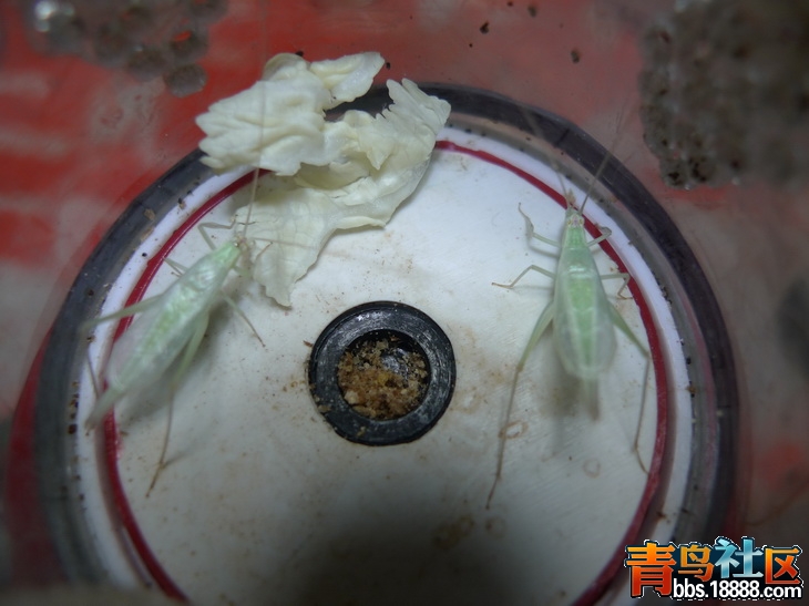 P1010274_调整大小.JPG