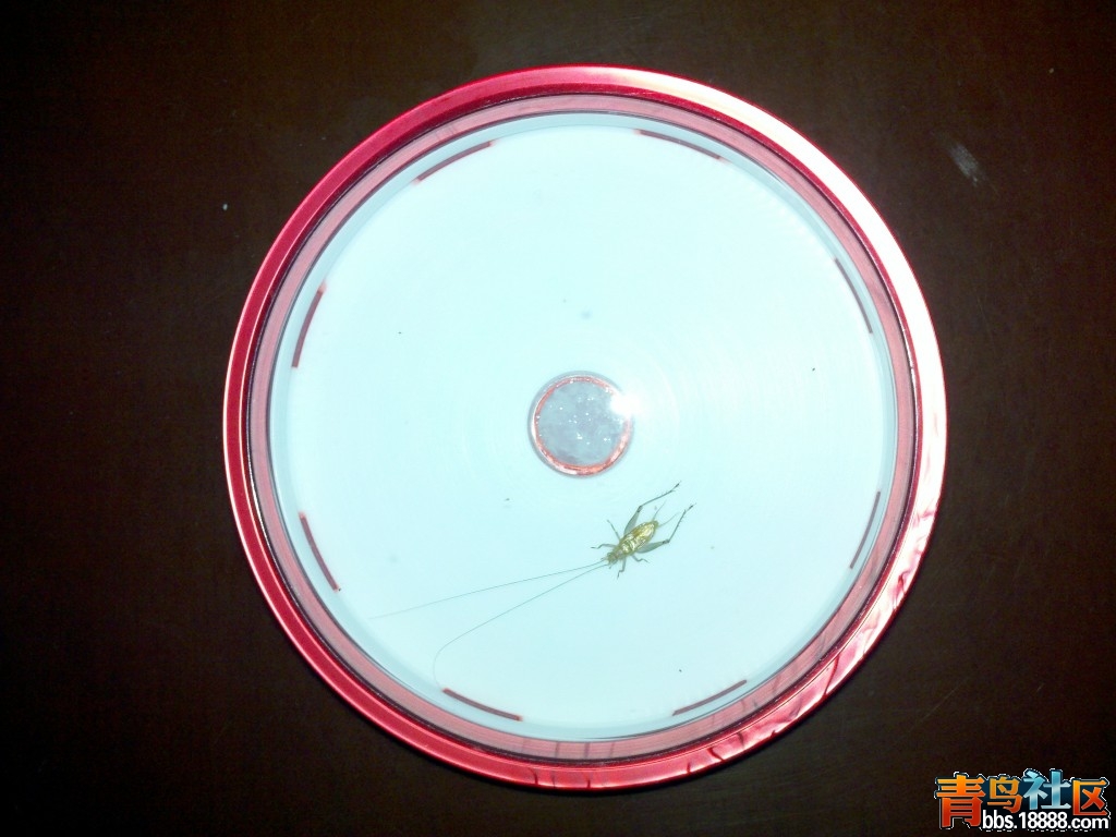 2012-02-15_17-17-18_908.jpg