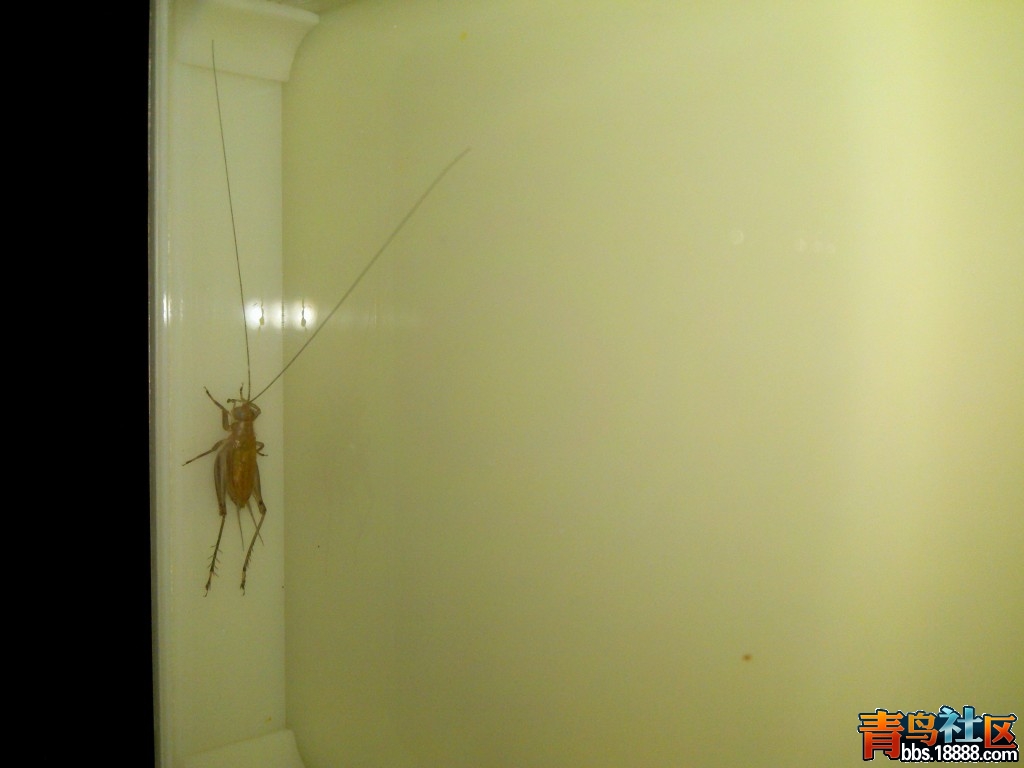 2012-02-06_14-18-33_403~1.jpg