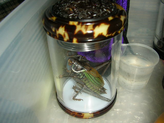 DSCN5885.JPG