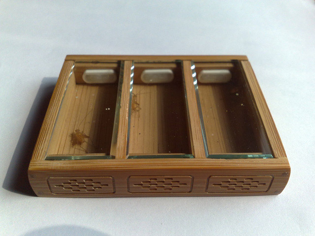 20120217216.jpg