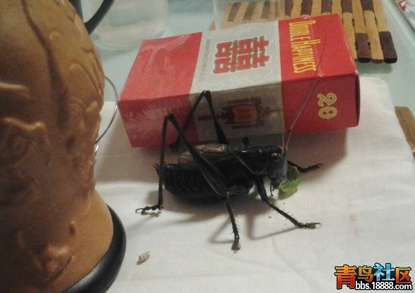 20120225_040355-1.jpg