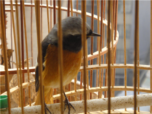 DSC00814_副本.jpg