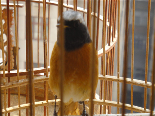 DSC00817_副本.jpg