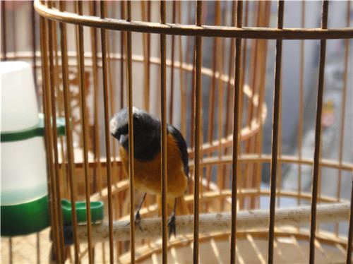 DSC00813_副本.jpg