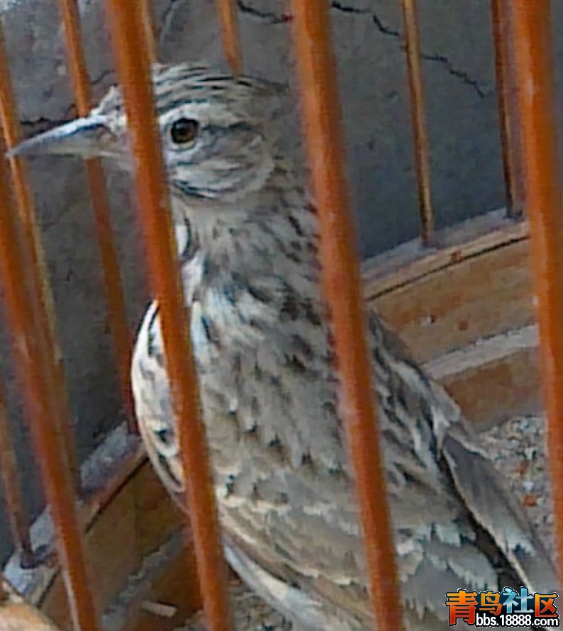 20120205161.jpg
