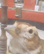 IMG0073A.jpg