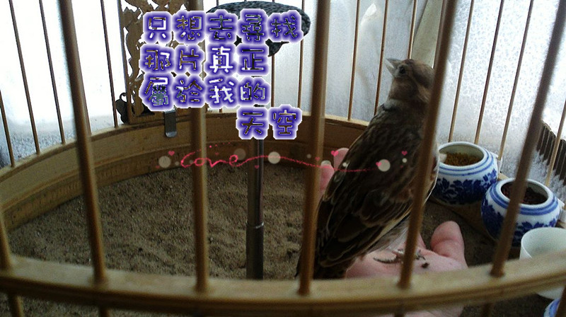 nEO_IMG_20120207056_副本.jpg