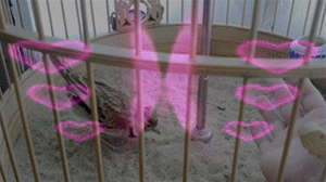 20120207050_副本.gif