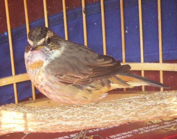 PICT00090.JPG