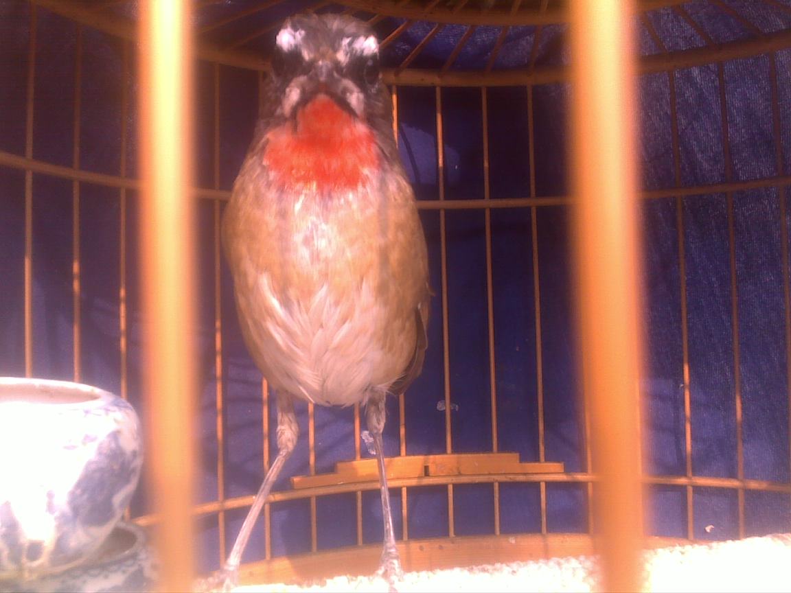 201202051426.jpg