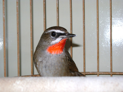 DSC02719_副本.jpg