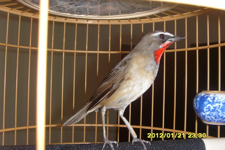 S73R0268.jpg