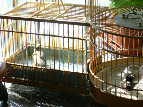 P1020653_副本.jpg