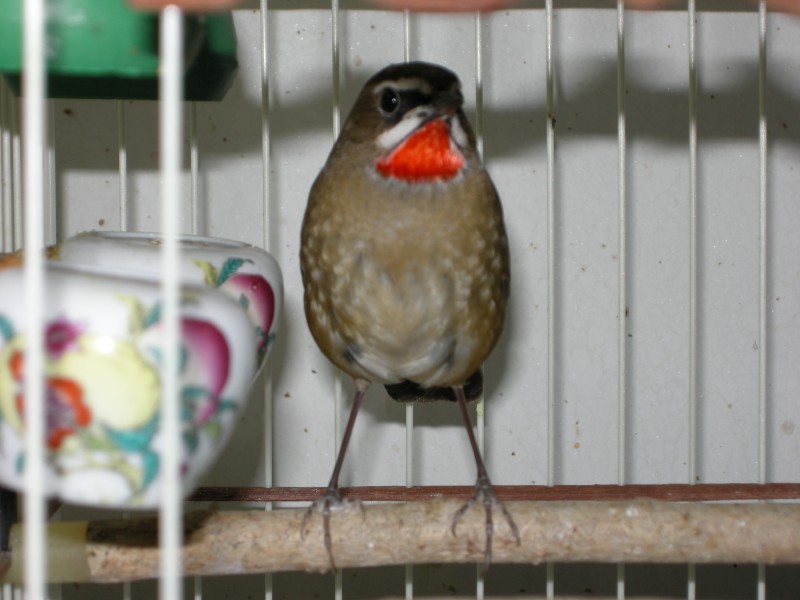 DSCN1637.JPG