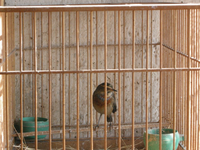 DSCN1690.JPG