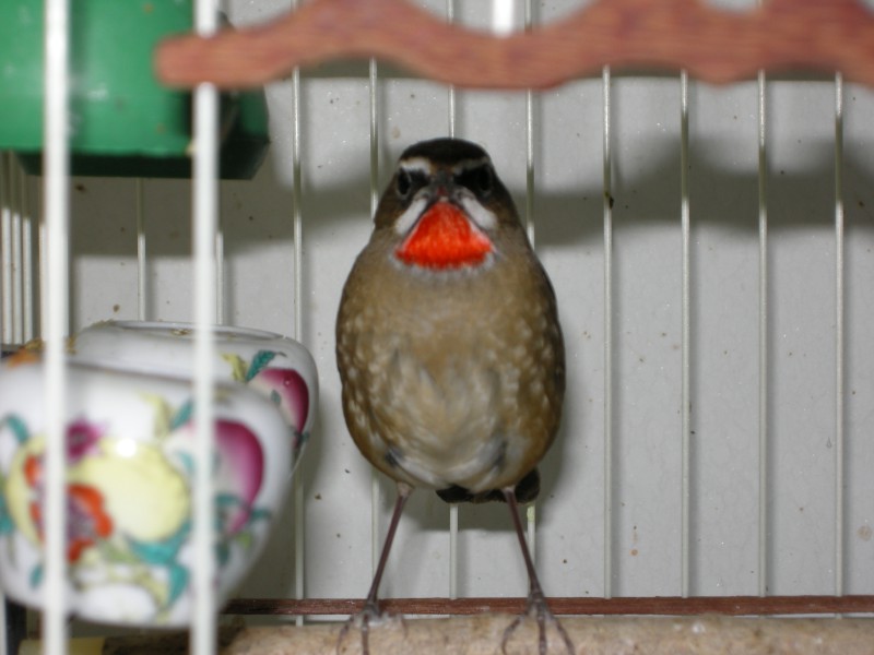 DSCN1636.JPG