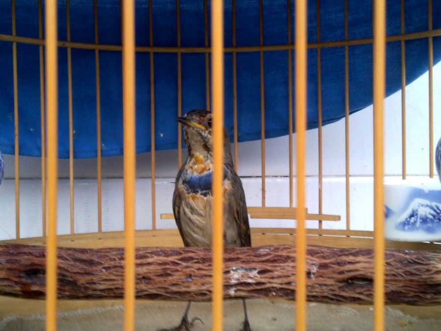 20120224732.jpg
